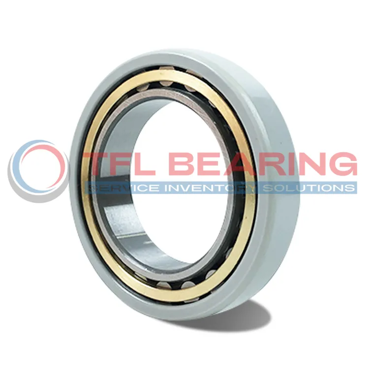 FAG Current-Insulated Single Row Cylindrical Roller Bearing N214-E-M1-F1-J20AA-C4